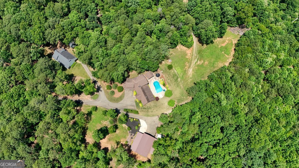 341 Blackberry Trail Ball Ground - Photo 62
