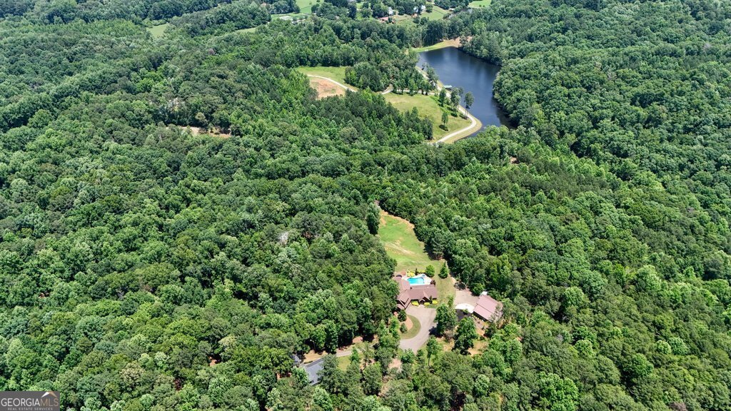 341 Blackberry Trail Ball Ground - Photo 63