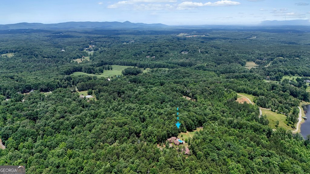 341 Blackberry Trail Ball Ground - Photo 65