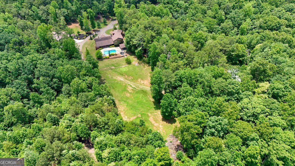 341 Blackberry Trail Ball Ground - Photo 69