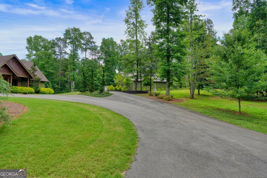 341 Blackberry Trail Ball Ground - Photo 75