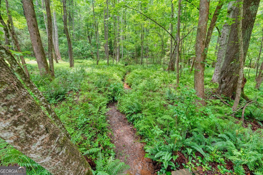 341 Blackberry Trail Ball Ground - Photo 76