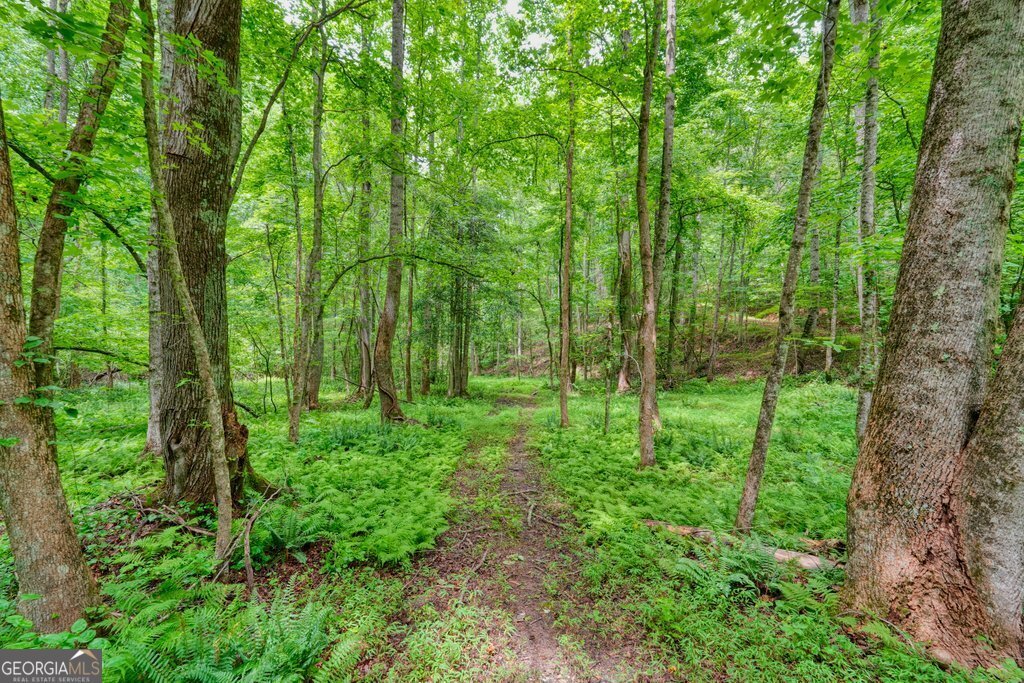 341 Blackberry Trail Ball Ground - Photo 77