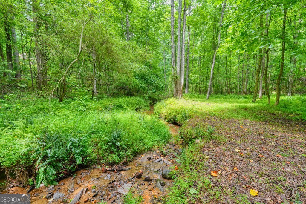 341 Blackberry Trail Ball Ground - Photo 78