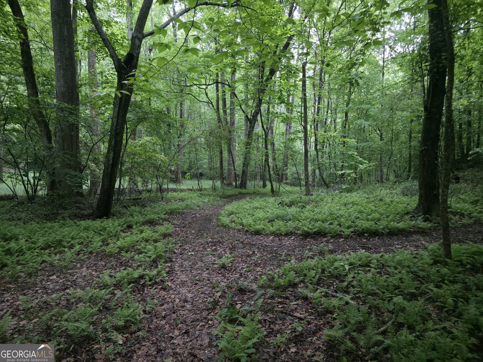 341 Blackberry Trail Ball Ground - Photo 80
