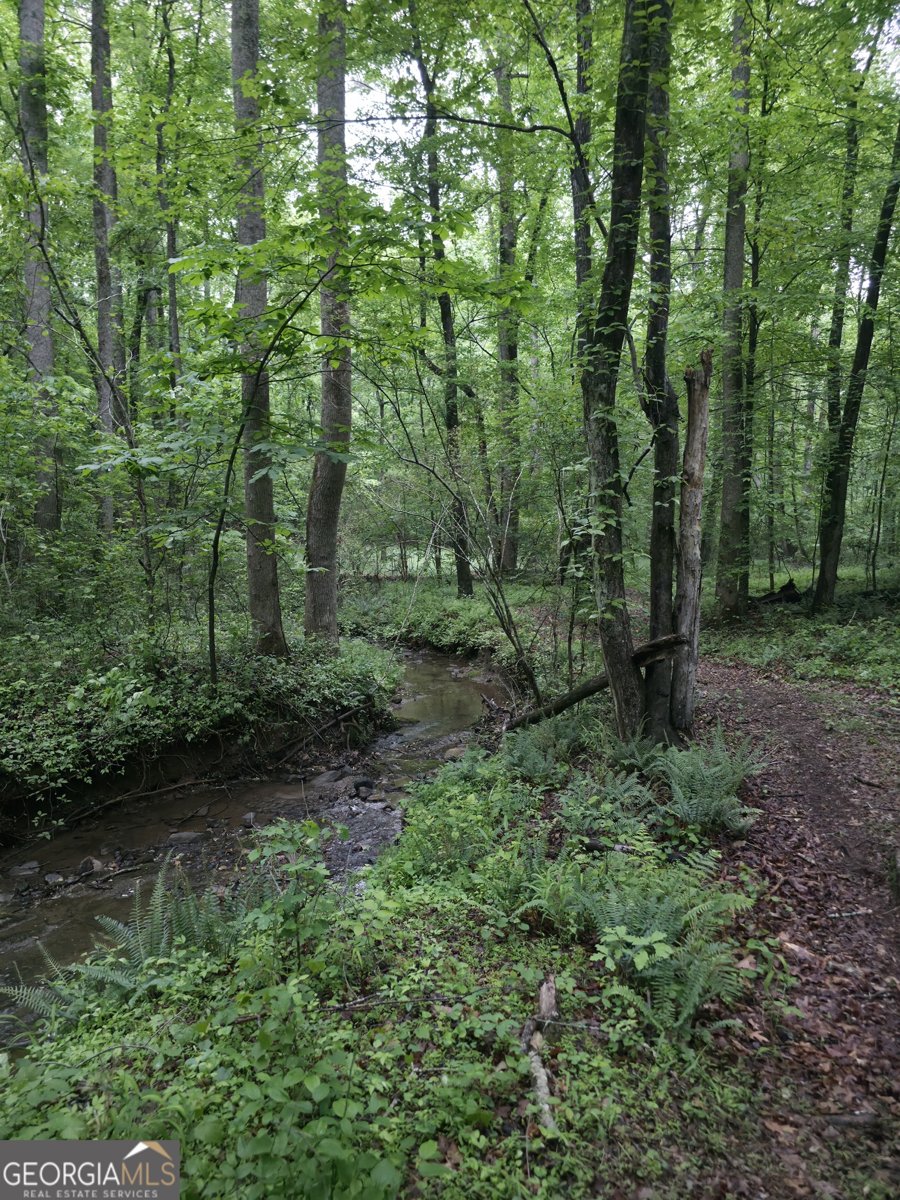 341 Blackberry Trail Ball Ground - Photo 81