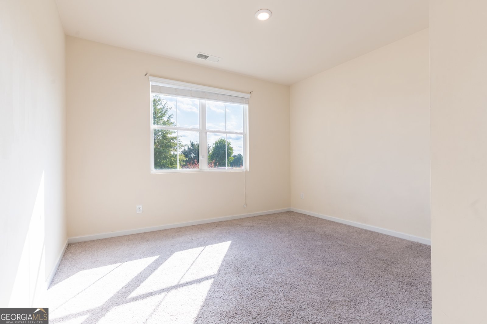 308 Jade Laurel Lane Locust Grove - Photo 10