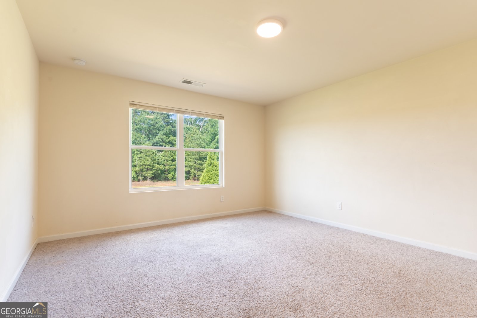 308 Jade Laurel Lane Locust Grove - Photo 14