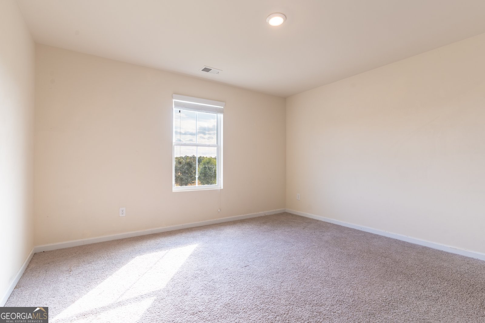 308 Jade Laurel Lane Locust Grove - Photo 21