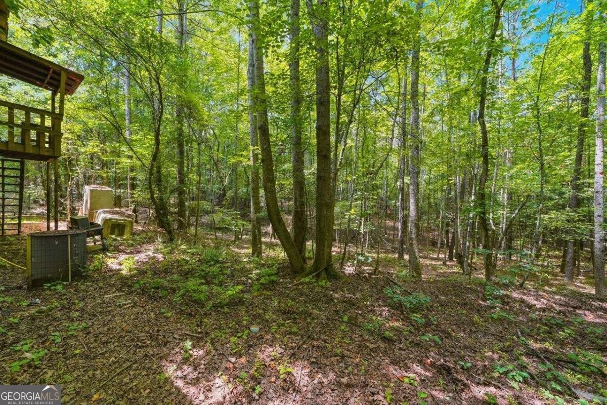 7400 Rand Drive Douglasville - Photo 6