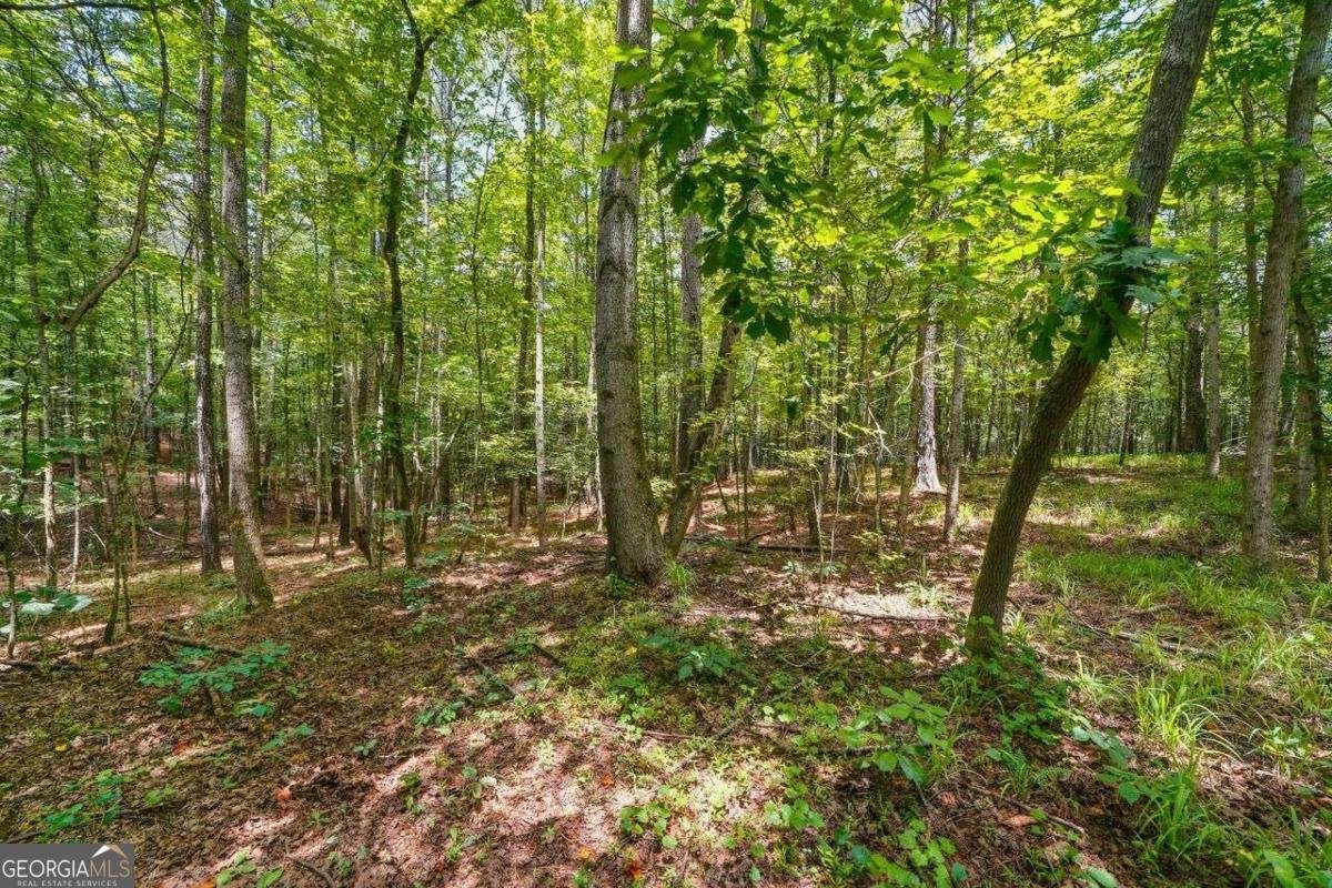 7400 Rand Drive Douglasville - Photo 7