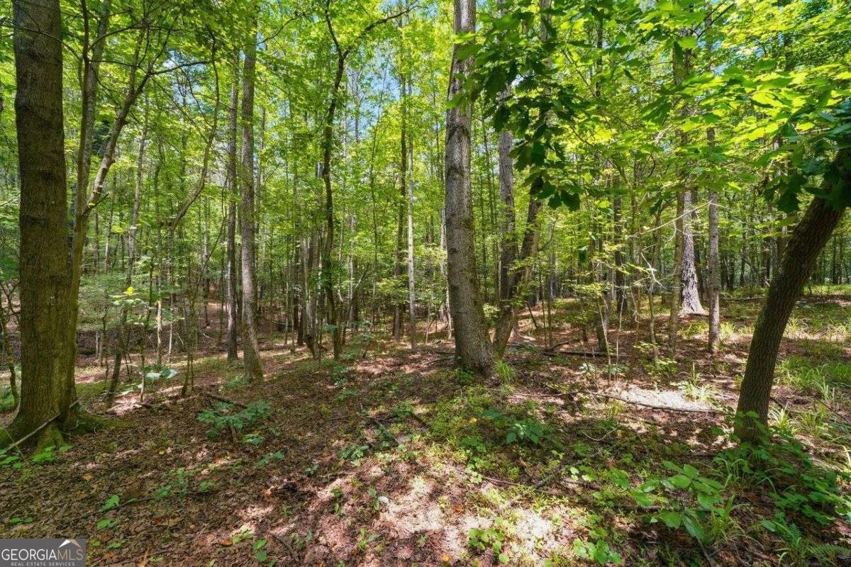 7400 Rand Drive Douglasville - Photo 8