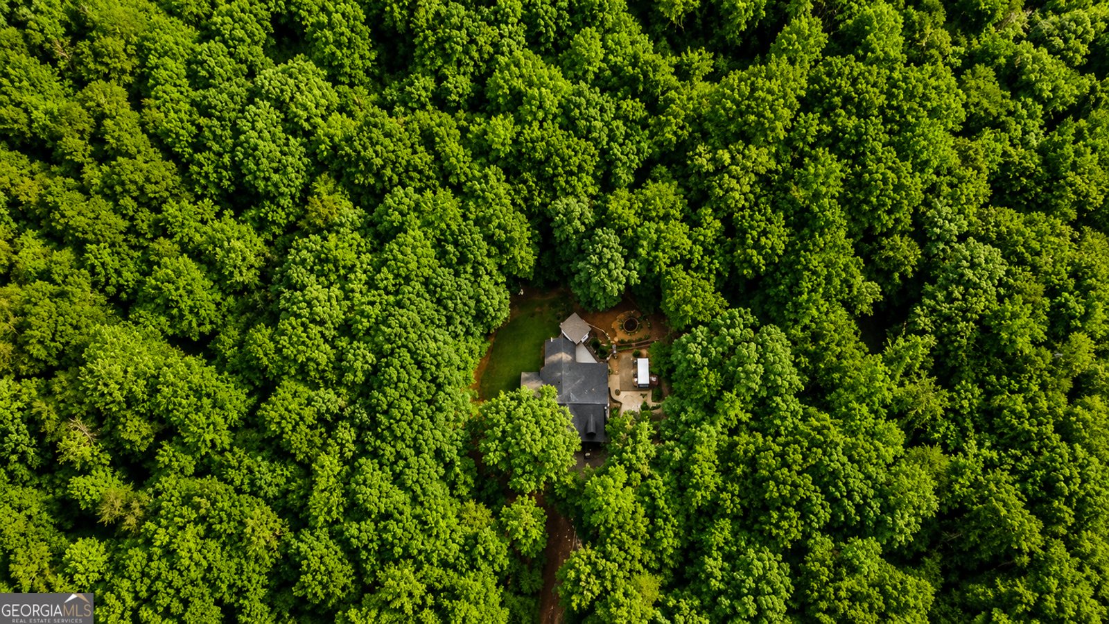2411 Highway 9 Dawsonville - Photo 65