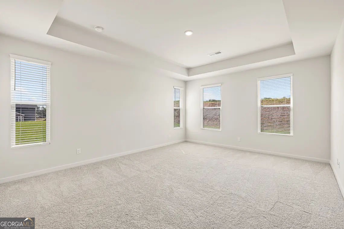 120 Serenade Creek Road McDonough - Photo 20