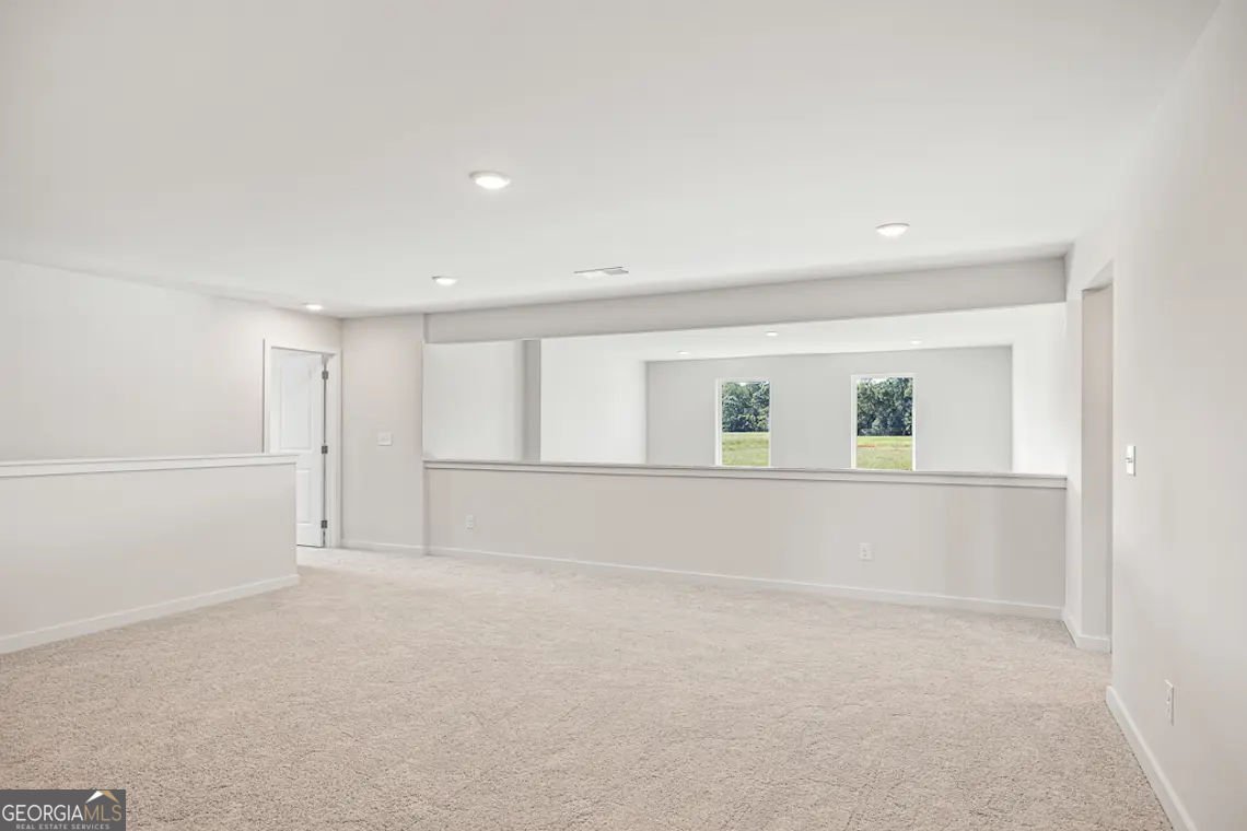 120 Serenade Creek Road McDonough - Photo 25