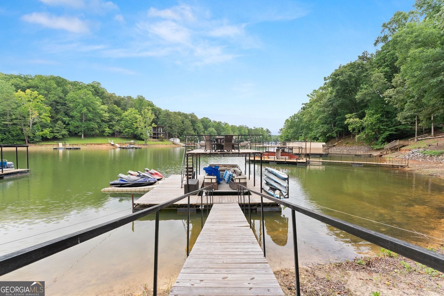 205 Lake Drive Dawsonville - Photo 49