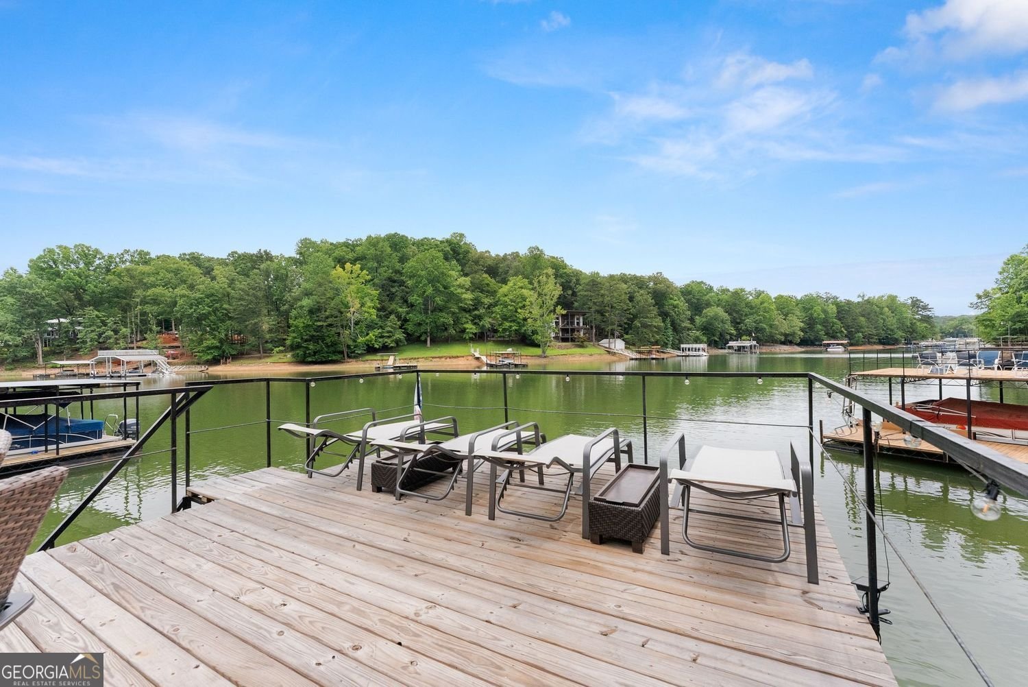 205 Lake Drive Dawsonville - Photo 54