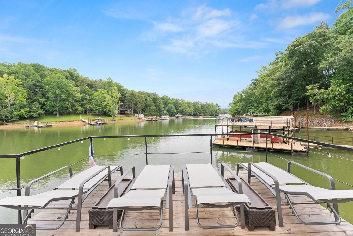 205 Lake Drive Dawsonville - Photo 55