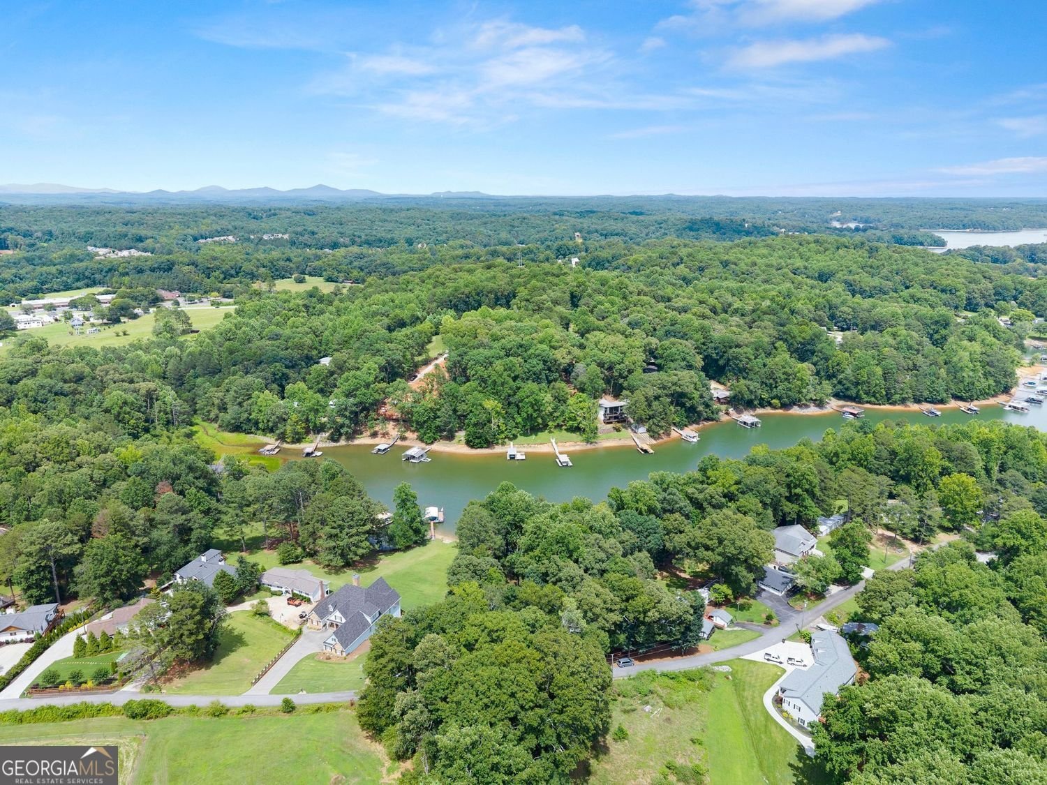 205 Lake Drive Dawsonville - Photo 59