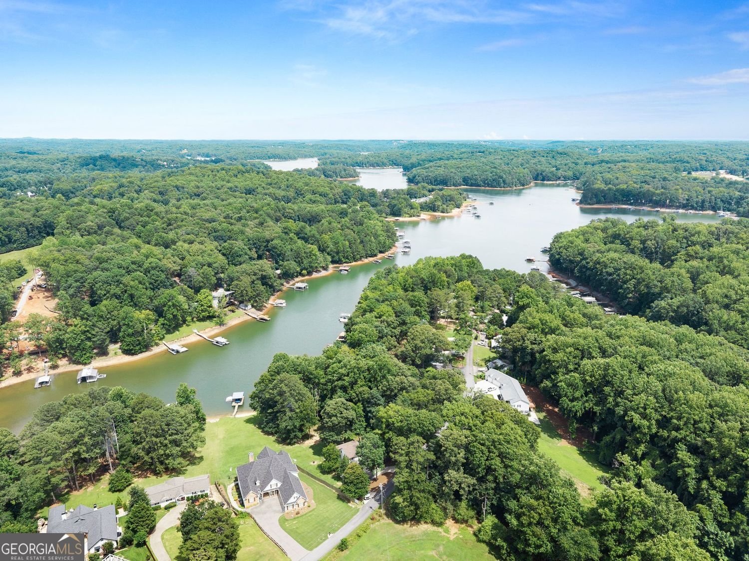205 Lake Drive Dawsonville - Photo 60