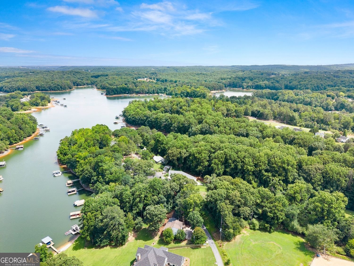 205 Lake Drive Dawsonville - Photo 61