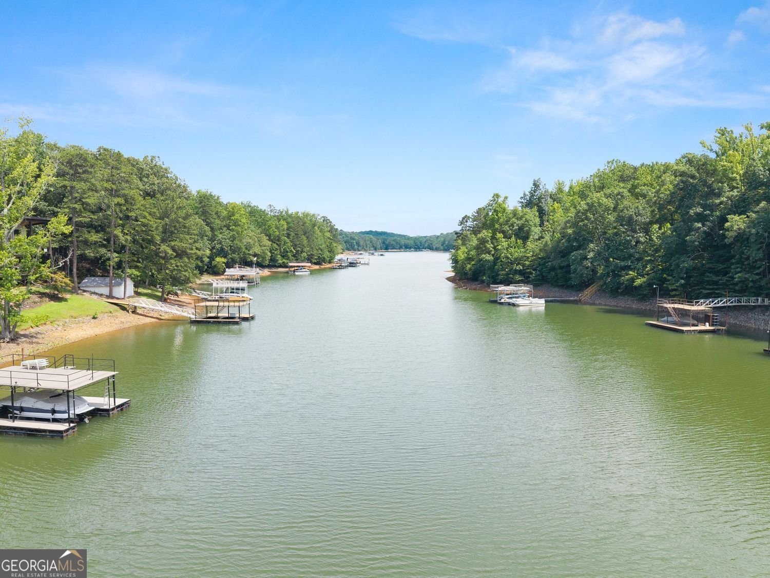 205 Lake Drive Dawsonville - Photo 65
