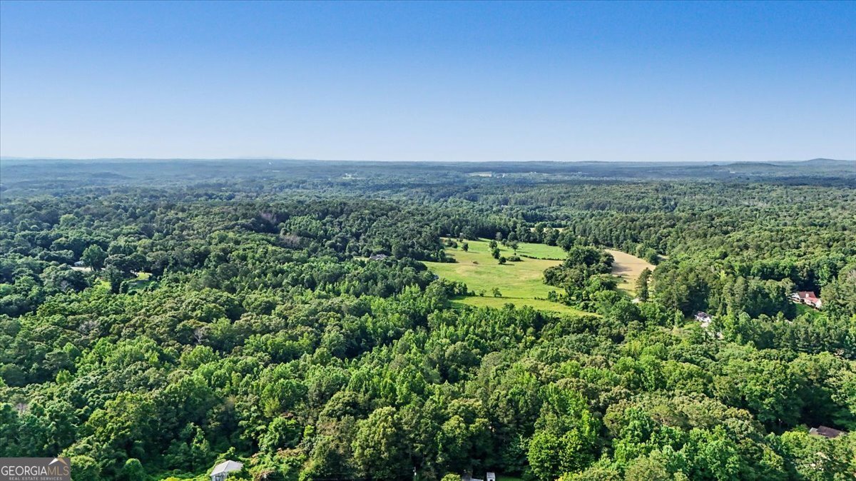 250 Ga Highway 120 Tallapoosa - Photo 49