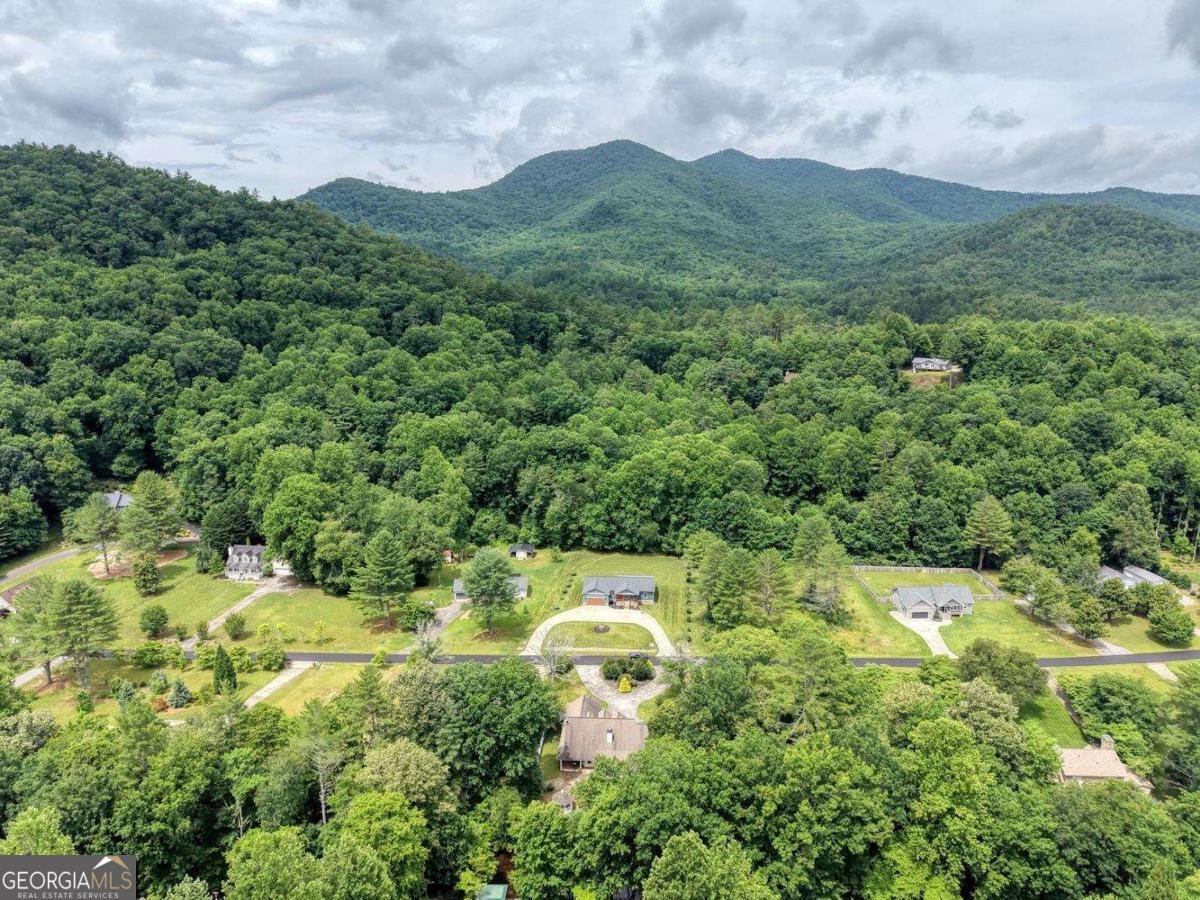 2187 Big Pine Drive Hiawassee - Photo 63