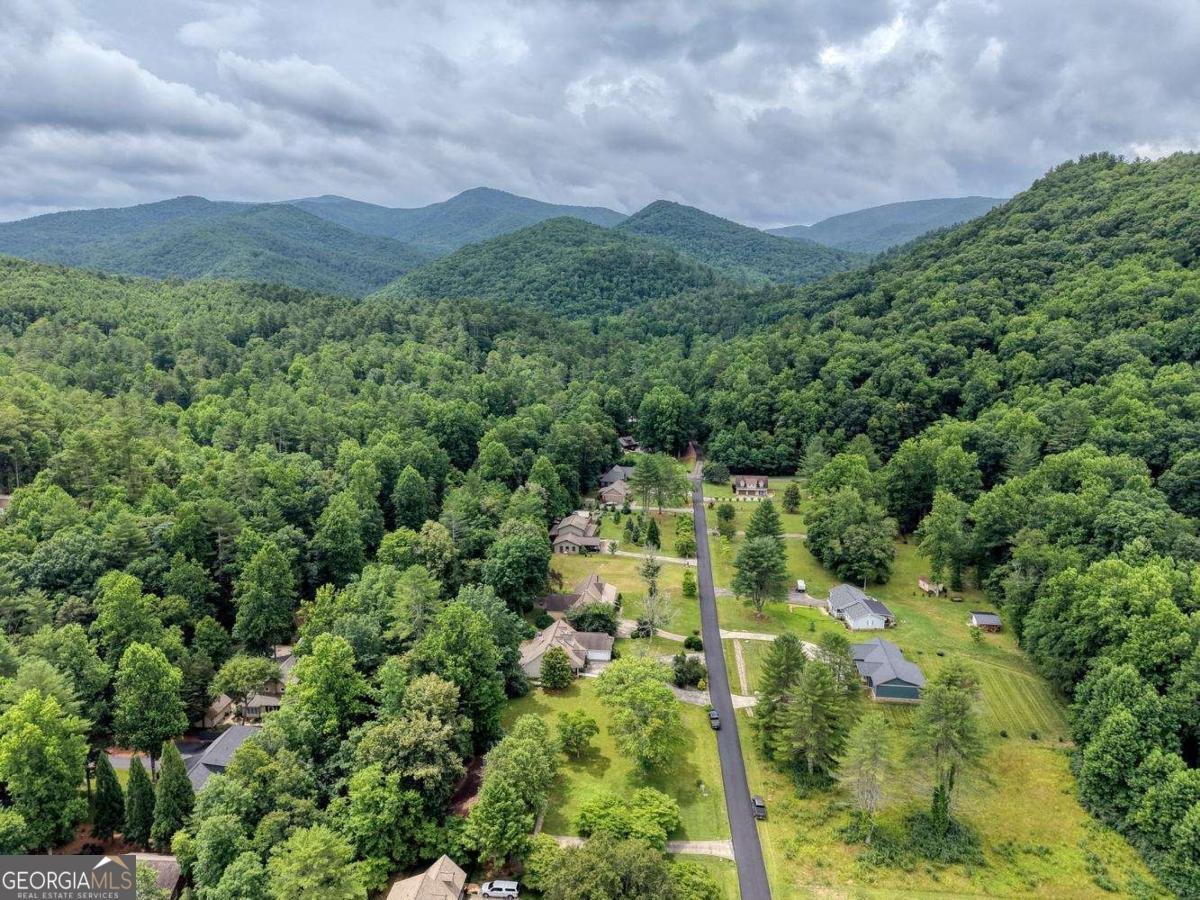 2187 Big Pine Drive Hiawassee - Photo 64