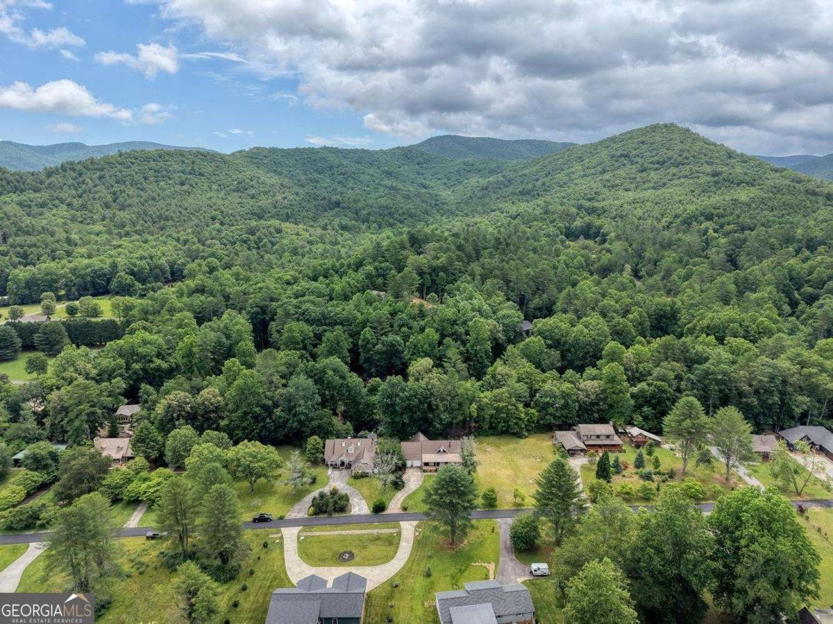 2187 Big Pine Drive Hiawassee - Photo 65