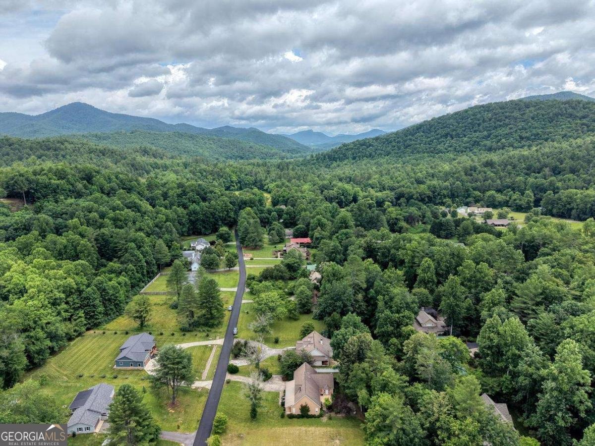 2187 Big Pine Drive Hiawassee - Photo 66