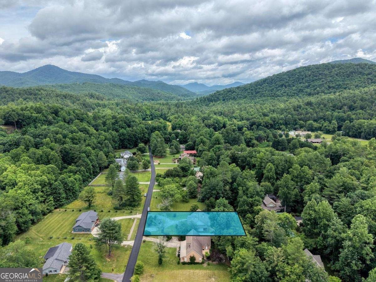 2187 Big Pine Drive Hiawassee - Photo 67
