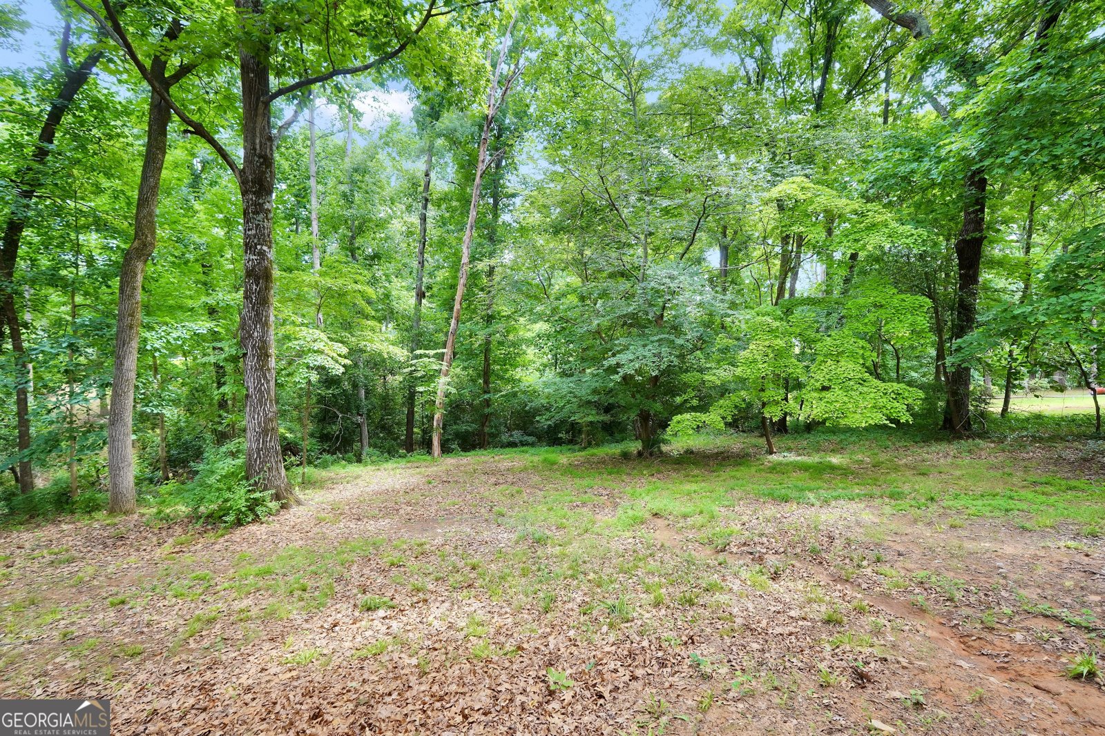 1180 Azalea Circle Conyers - Photo 69