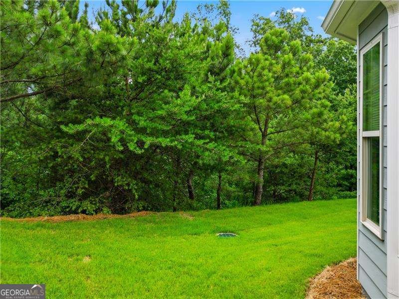 118 Hidden Trail Court Canton - Photo 30