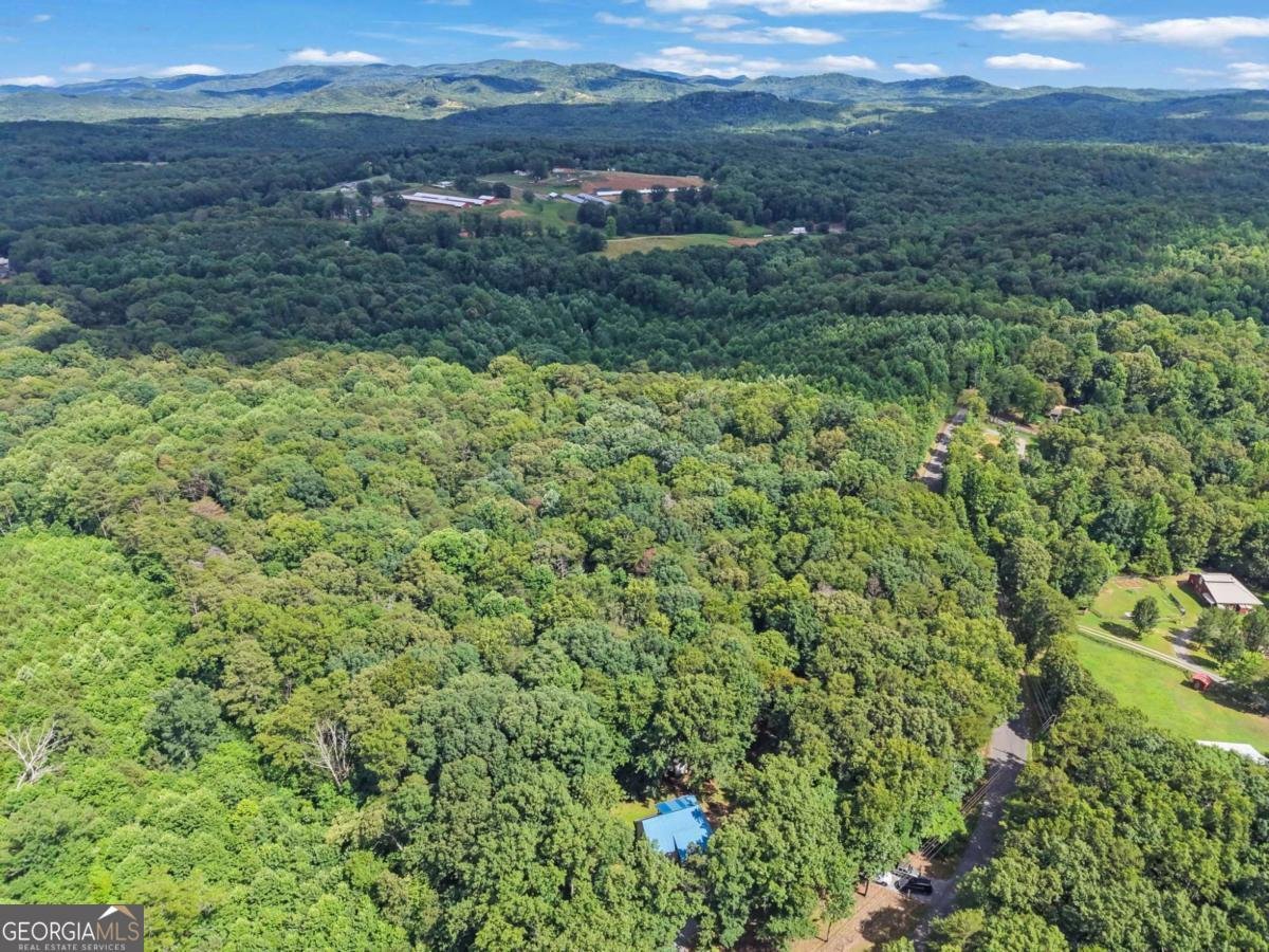 219 RavenCliff Road Ellijay - Photo 23
