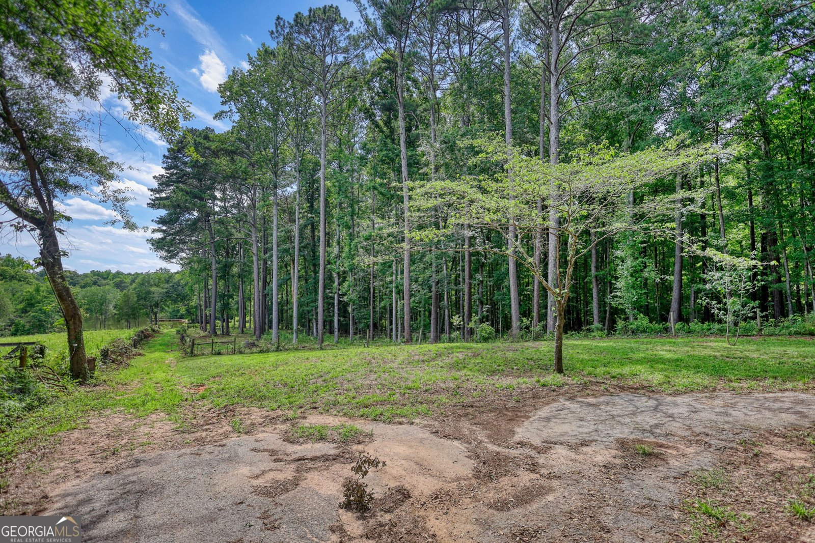 2217 Meadows Road Newborn - Photo 39