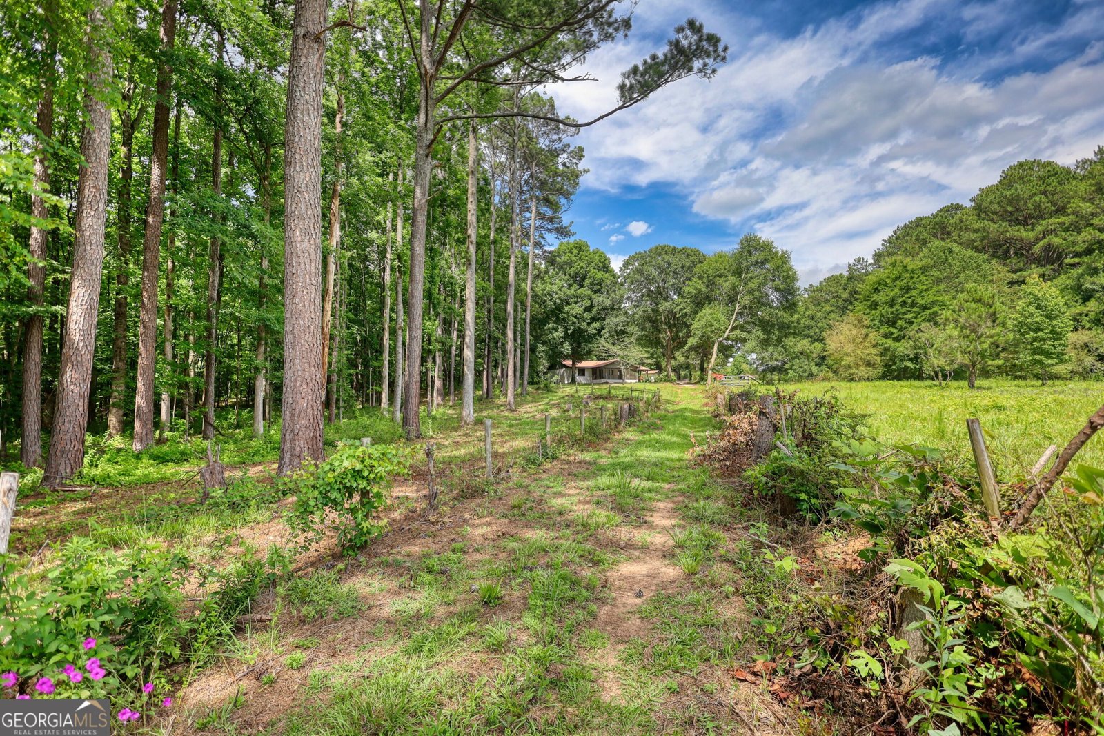 2217 Meadows Road Newborn - Photo 42