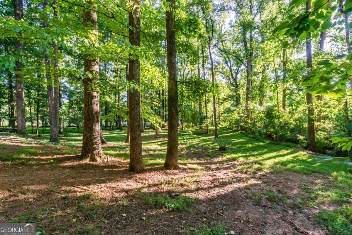 4646 Sherman Allen Way Gainesville - Photo 33