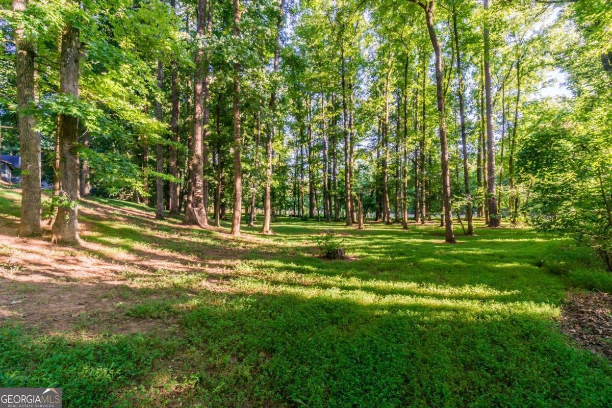 4646 Sherman Allen Way Gainesville - Photo 34