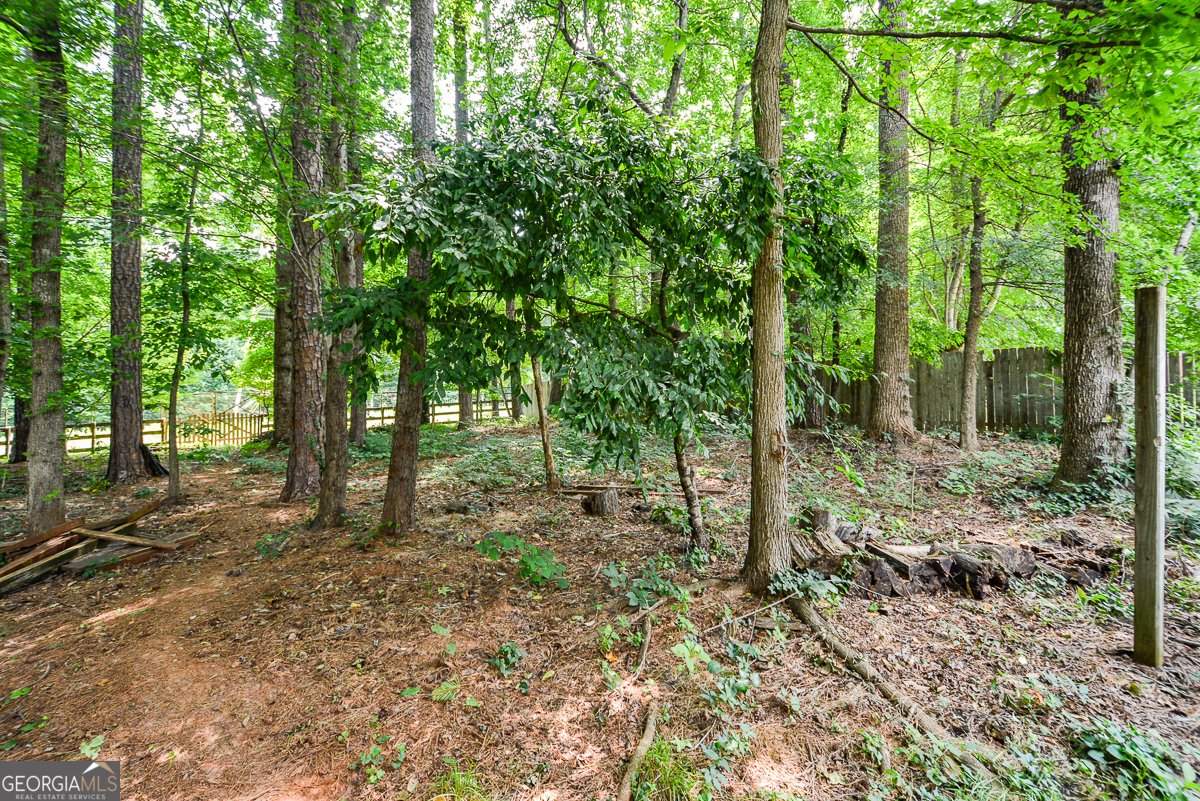 3844 Princeton Oaks Kennesaw - Photo 61