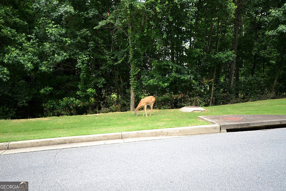 3844 Princeton Oaks Kennesaw - Photo 95