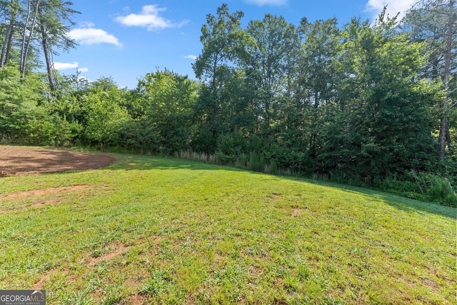 350 Linwood Drive Demorest - Photo 38