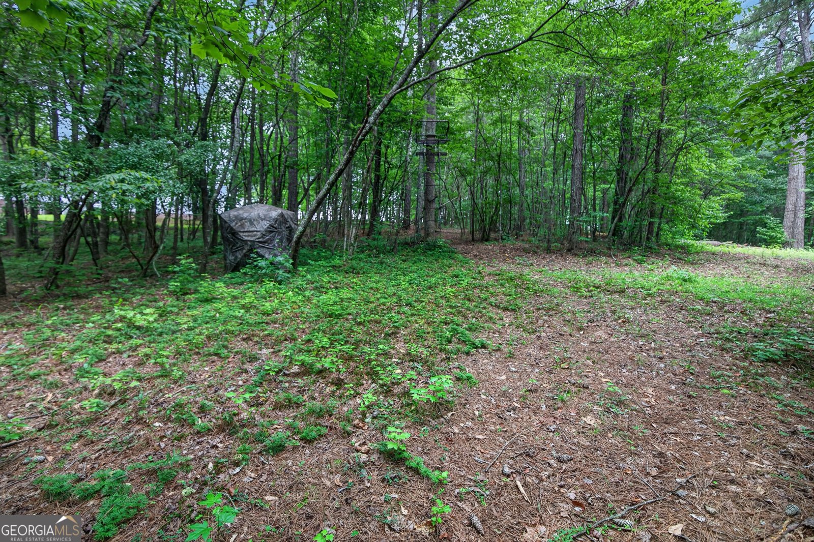 2404 Corinth Poseyville Road Bremen - Photo 76