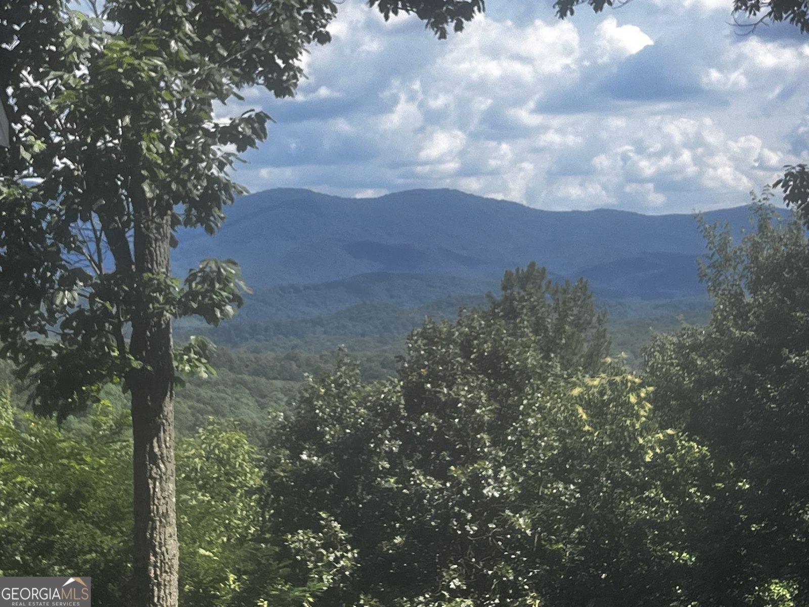 157 Misty Mountain Lane Blue Ridge - Photo 19