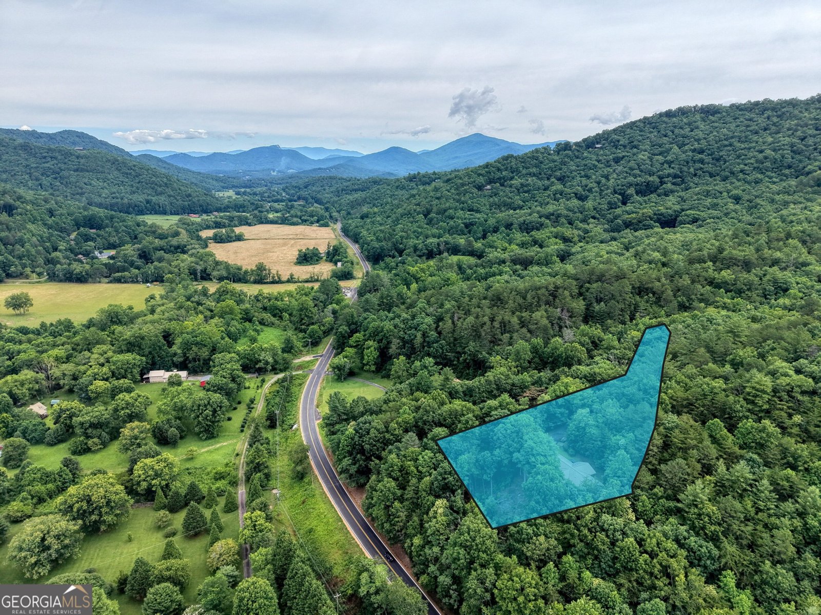 2228 Walls Mountain Hiawassee - Photo 53