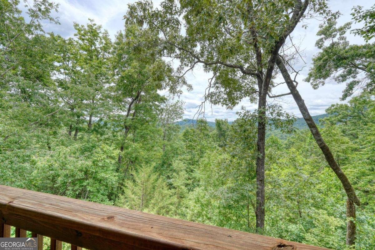 48 Pine Top Drive Clayton - Photo 61