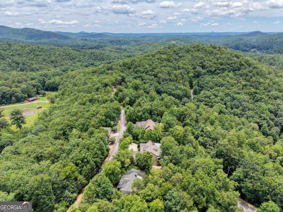48 Pine Top Drive Clayton - Photo 71