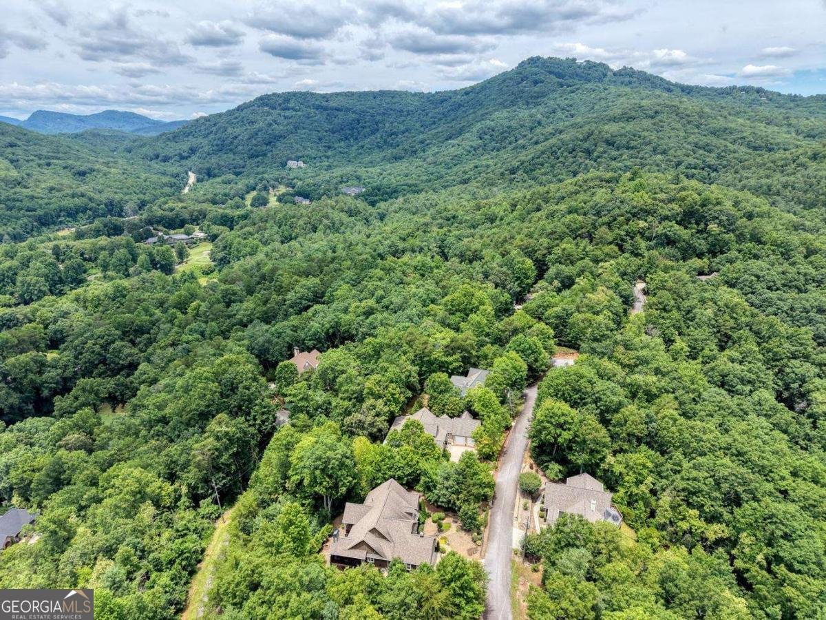 48 Pine Top Drive Clayton - Photo 74