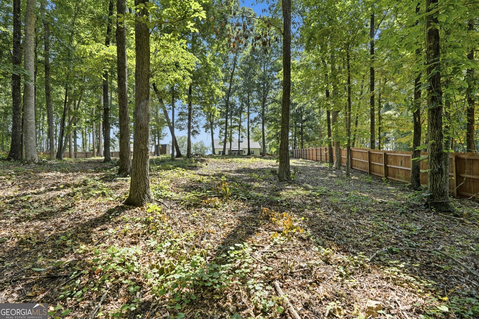 100 Rivermont Lane Dahlonega - Photo 53