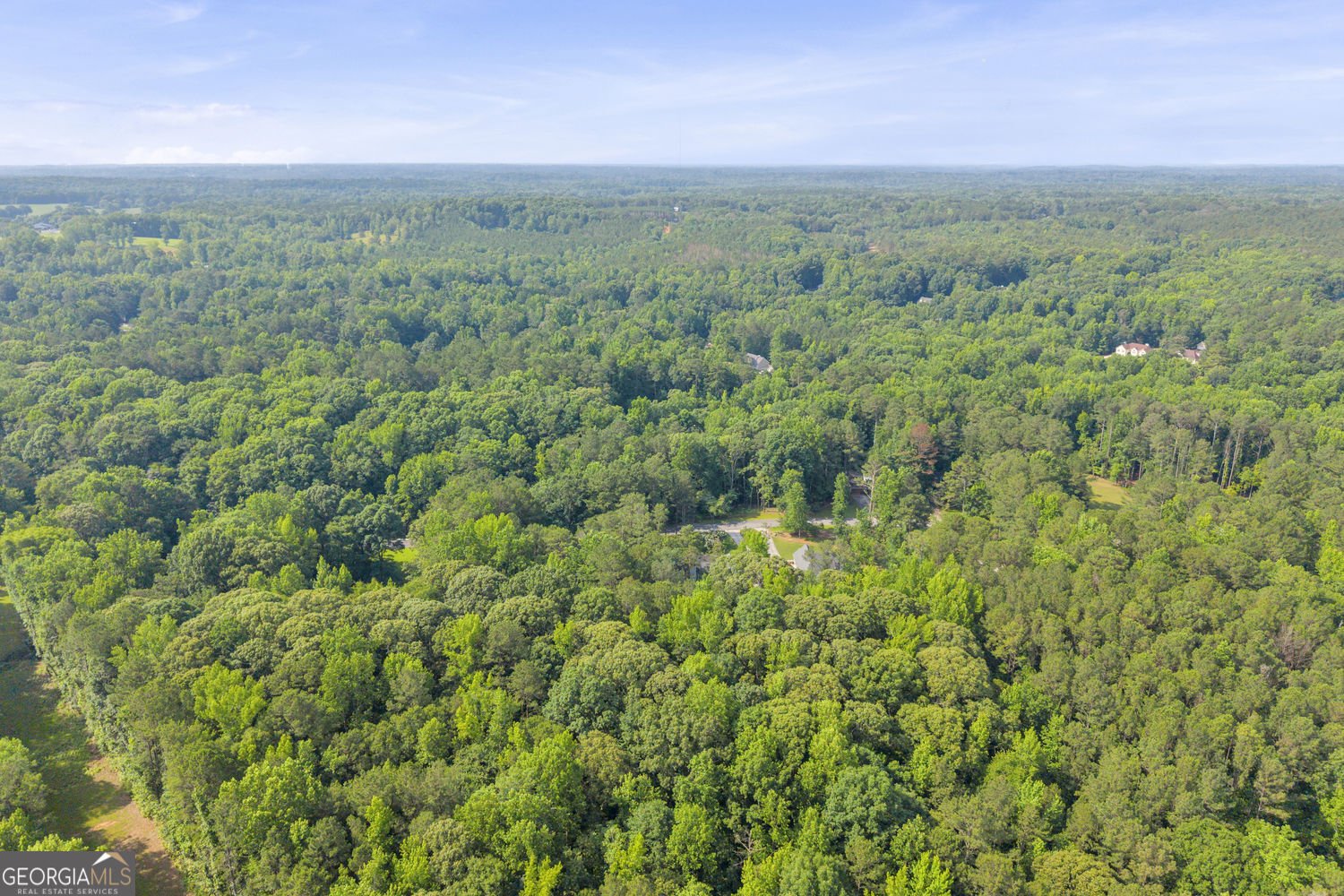 145 Emerald Hills Lane Newnan - Photo 79